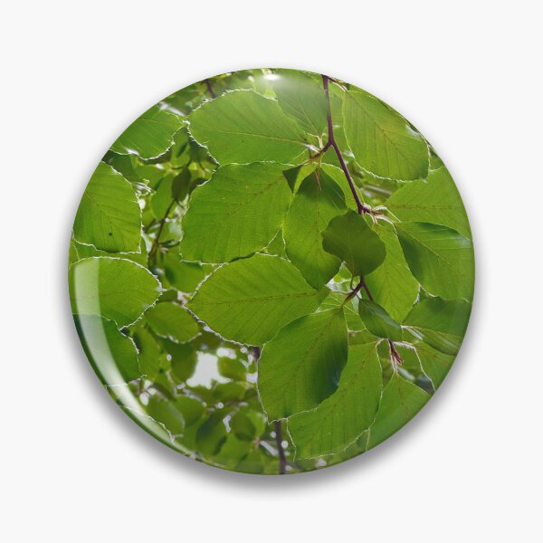 Item preview, A canopy of beech trees designed and sold by GoldenWavesAndWilds.