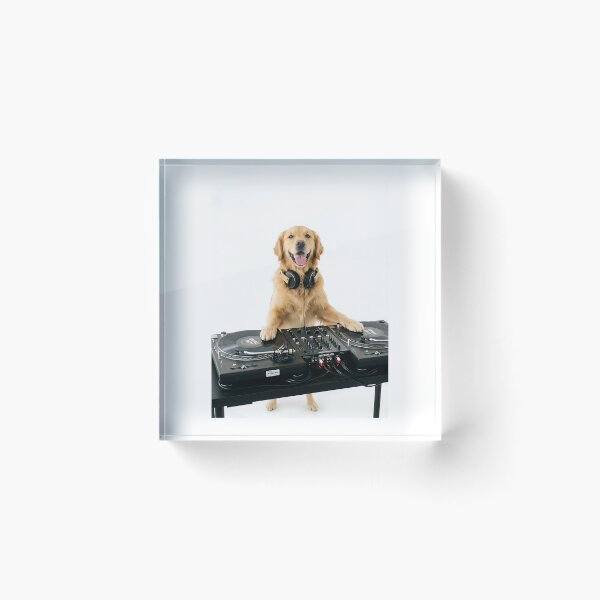 Item preview, Golden Retriever DJ Spin That Track - Party Dog Music Lover Gift designed and sold by PictoVibe.