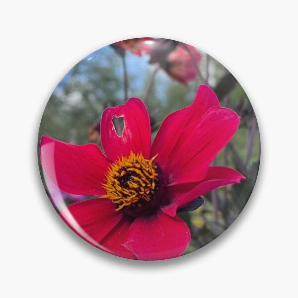 Item preview, Perfectly imperfect - A red dahlia blossom designed and sold by GoldenWavesAndWilds.