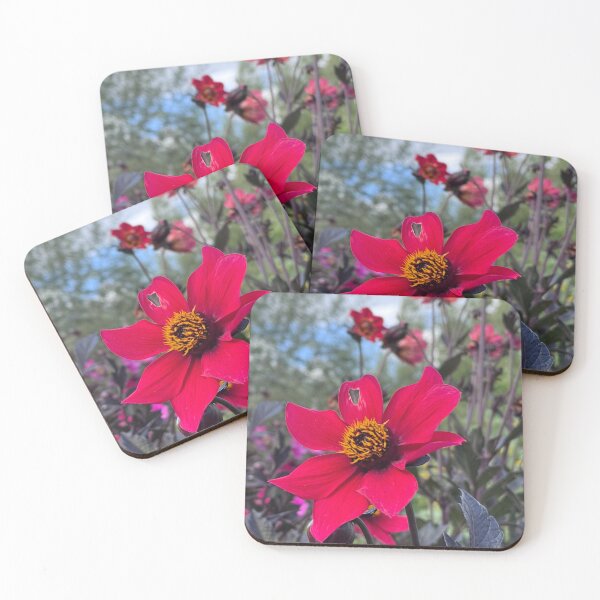 Item preview, Perfectly imperfect - A red dahlia blossom designed and sold by GoldenWavesAndWilds.