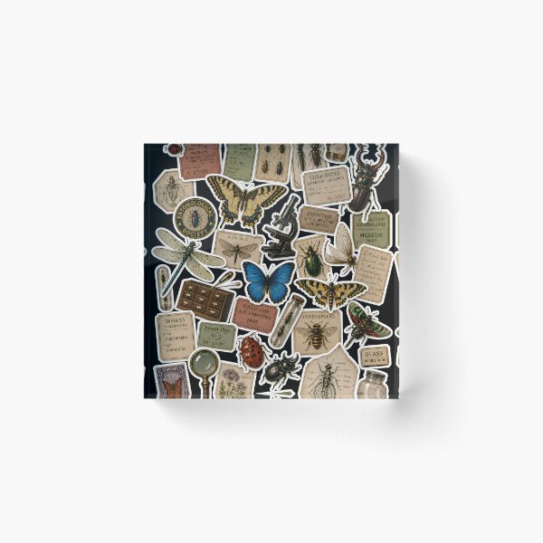 Item preview, Vintage Entomology Sticker Collage | Antique Insect Collection & Natural History designed and sold by Extravanganzza.