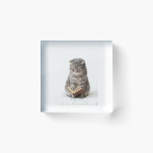 Item preview, Scottish Fold Cat Librarian - Bookish Reading Kitty Lover Gift designed and sold by PictoVibe.
