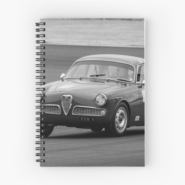 Item preview, 1959 Alfa Romeo Giulietta (Monochrome) designed and sold by Willie Jackson.