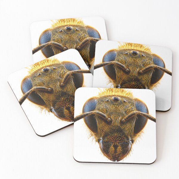 Item preview, Honey Bee Enlarged designed and sold by AwesomeDigiShop.