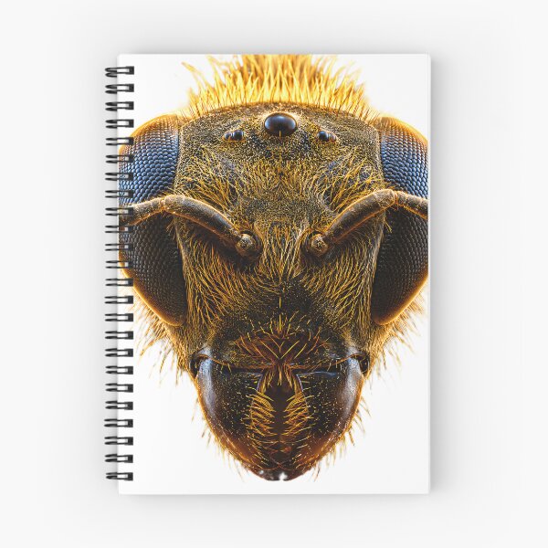 Item preview, Honey Bee Enlarged designed and sold by AwesomeDigiShop.