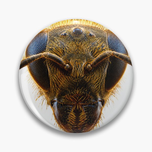 Item preview, Honey Bee Enlarged designed and sold by AwesomeDigiShop.