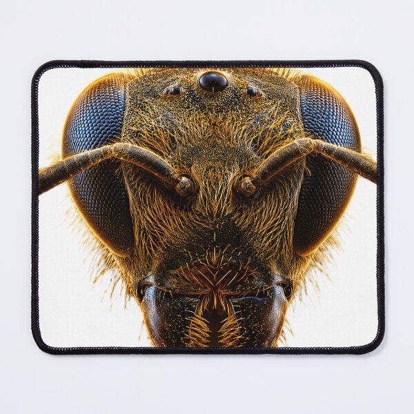 Item preview, Honey Bee Enlarged designed and sold by AwesomeDigiShop.