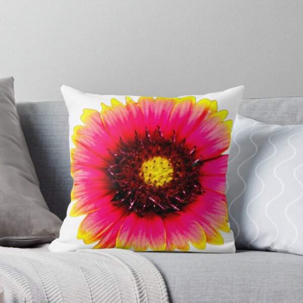Item preview, Blanket Flower designed and sold by Birds & Beans Photography.