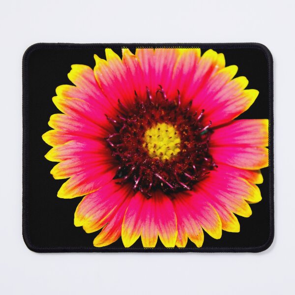 Item preview, Blanket Flower designed and sold by Birds & Beans Photography.