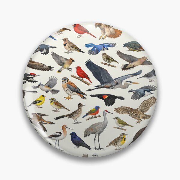 Item preview, Native Birds of Oklahoma Retro Identification Chart designed and sold by kakarikihill.