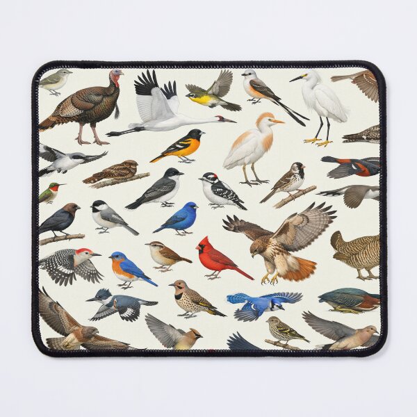 Item preview, Native Birds of Oklahoma Retro Identification Chart designed and sold by kakarikihill.
