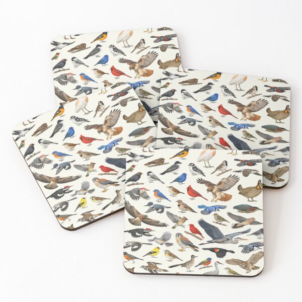 Item preview, Native Birds of Oklahoma Retro Identification Chart designed and sold by kakarikihill.