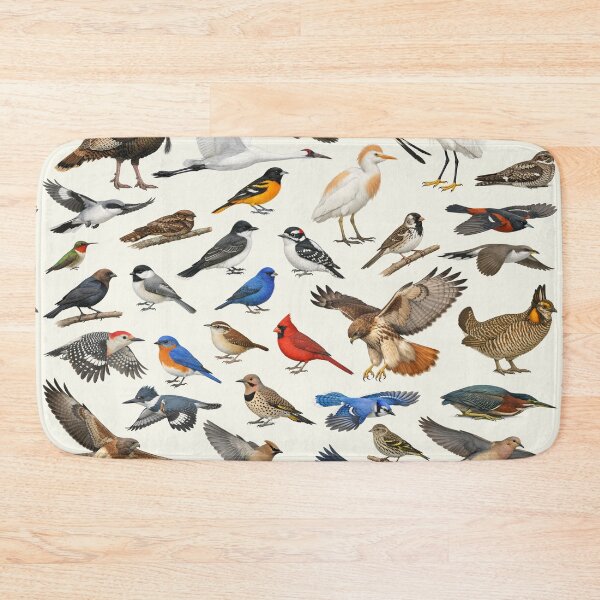 Item preview, Native Birds of Oklahoma Retro Identification Chart designed and sold by kakarikihill.