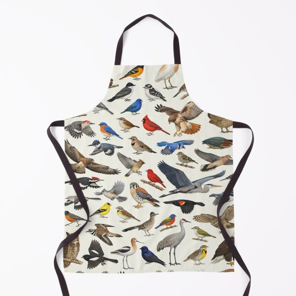 Item preview, Native Birds of Oklahoma Retro Identification Chart designed and sold by kakarikihill.