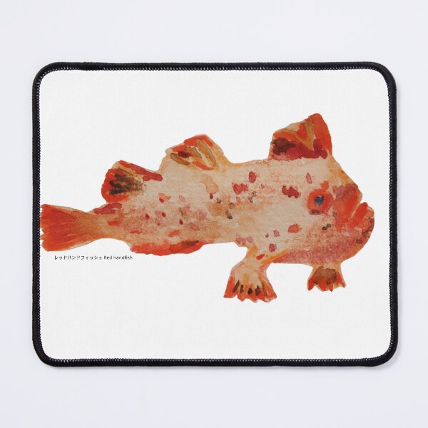 Item preview, Red Handfish | Watercolour designed and sold by Potonchi-Photo.