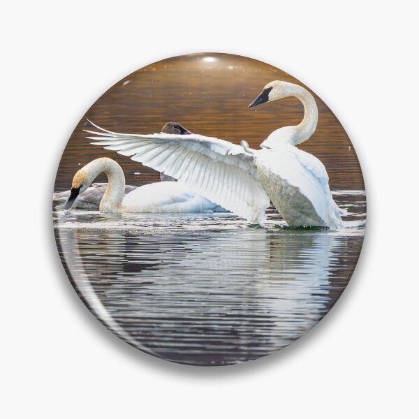 Item preview, Trumpeter Reflections designed and sold by DawsonImages.