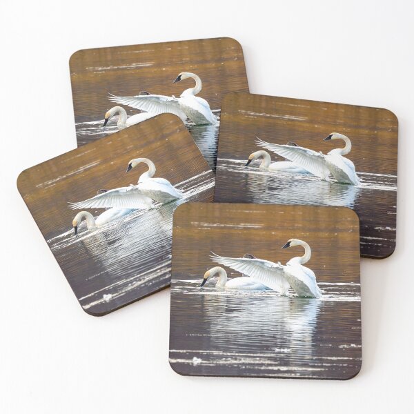 Item preview, Trumpeter Reflections designed and sold by DawsonImages.