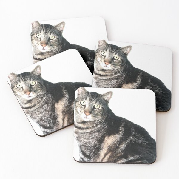 Item preview, JeffJeff designed and sold by Reallyrandy.