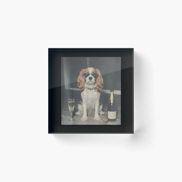 Item preview, Cavalier King Charles Funny Dog Meme designed and sold by goombi-creative.