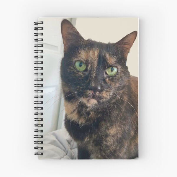 Item preview, Tortoiseshell Cat  designed and sold by Amanda1775.