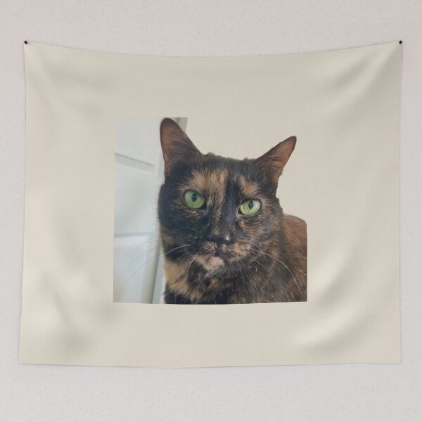Item preview, Tortoiseshell Cat  designed and sold by Amanda1775.