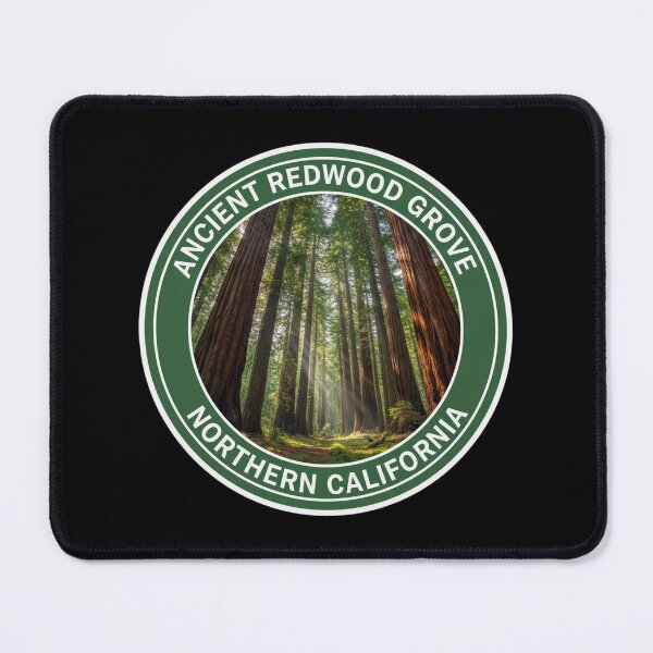Item preview, Ancient Redwood Grove Northern California Forest Badge designed and sold by FestivityFinds.