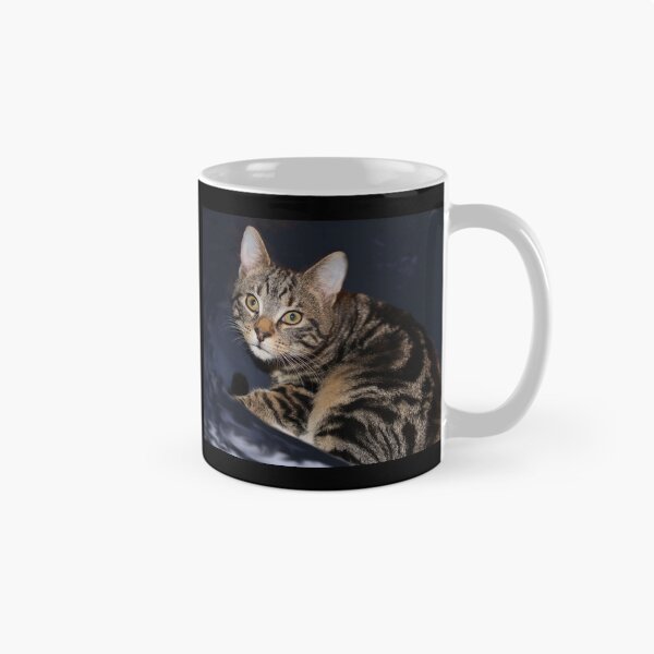 Item preview, Striped Tabby Cat Photography designed and sold by amusefullife.