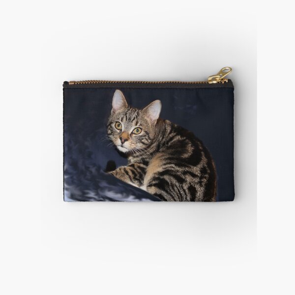 Item preview, Striped Tabby Cat Photography designed and sold by amusefullife.