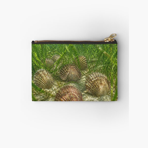 Item preview, Clams designed and sold by Artnovalty.redbubble.com.