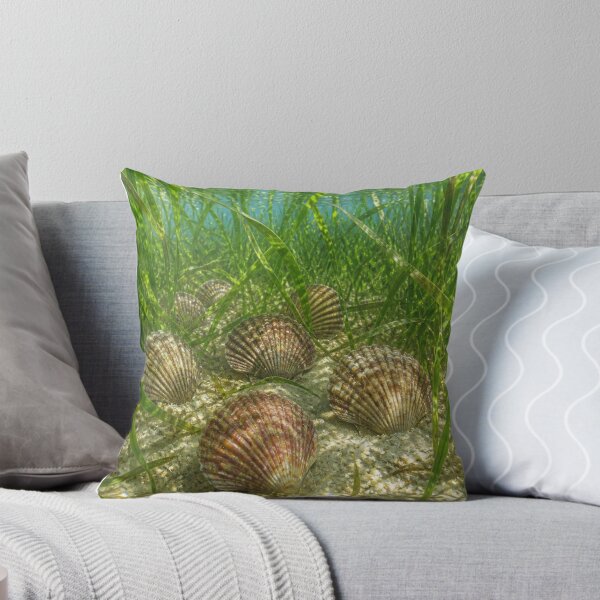 Item preview, Clams designed and sold by Artnovalty.redbubble.com.