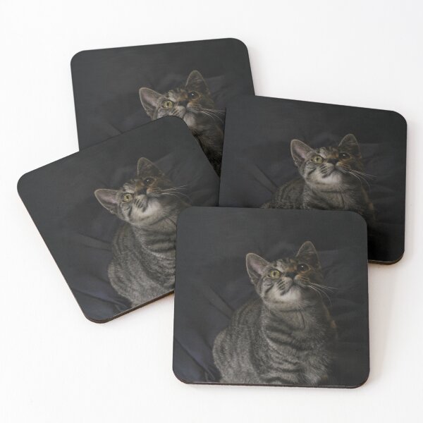 Item preview, Dramatic Portrait of Tabby Cat designed and sold by amusefullife.