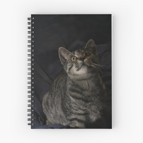 Item preview, Dramatic Portrait of Tabby Cat designed and sold by amusefullife.