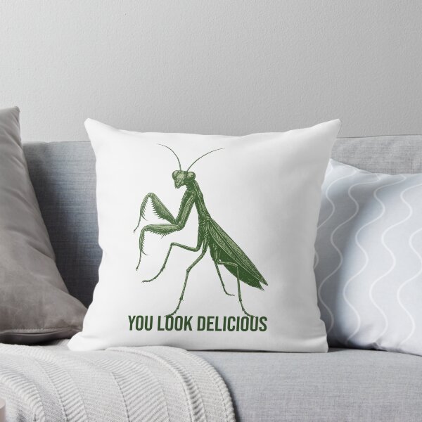 Item preview, You Look Delicious – Funny Praying Mantis Insect Illustration designed and sold by xndrlab.