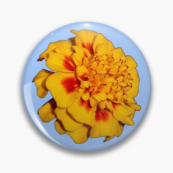 Item preview, Sommer downunder. designed and sold by tasmanianartist.