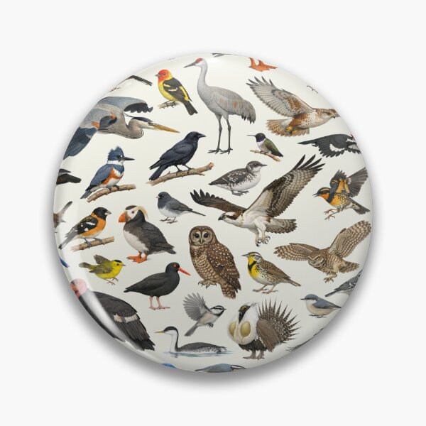 Item preview, Native Birds of Oregon Retro Identification Chart designed and sold by kakarikihill.