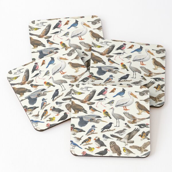 Item preview, Native Birds of Oregon Retro Identification Chart designed and sold by kakarikihill.
