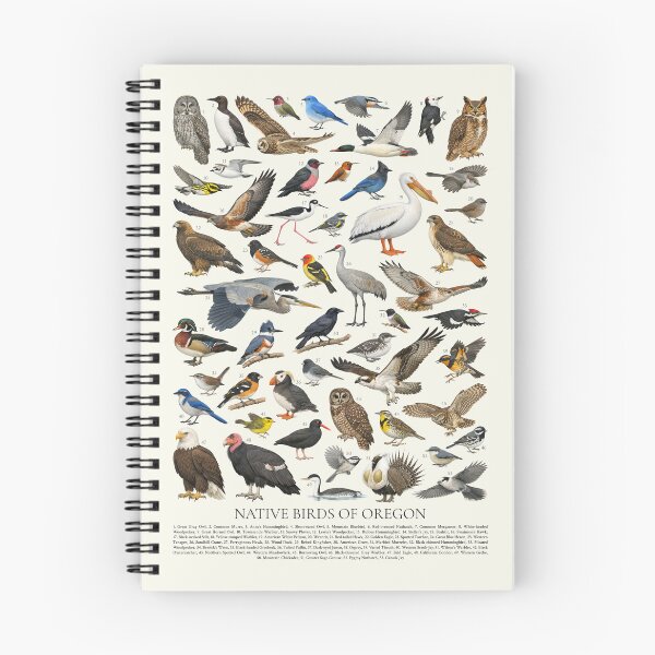 Item preview, Native Birds of Oregon Retro Identification Chart designed and sold by kakarikihill.