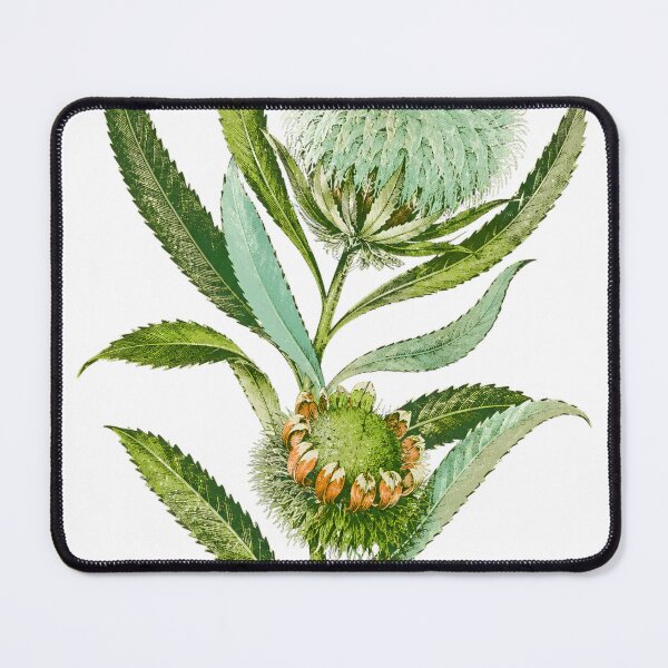 Item preview, Vintage Botanical designed and sold by Lev4nteHimas.