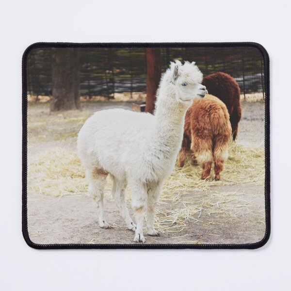 Item preview, Cute Fluffy Alpaca – Adorable Alpaca Animal Photography for Animal Lovers designed and sold by StyleForge Apparel.