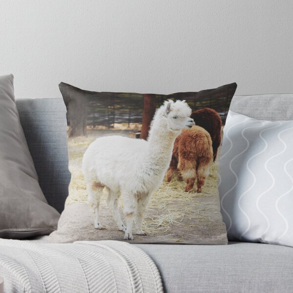 Item preview, Cute Fluffy Alpaca – Adorable Alpaca Animal Photography for Animal Lovers designed and sold by StyleForge Apparel.