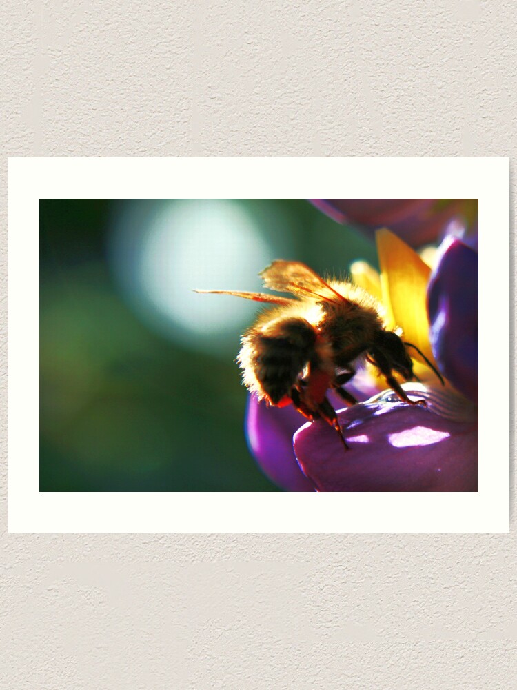 Alternate view of Bumblebee Art Print