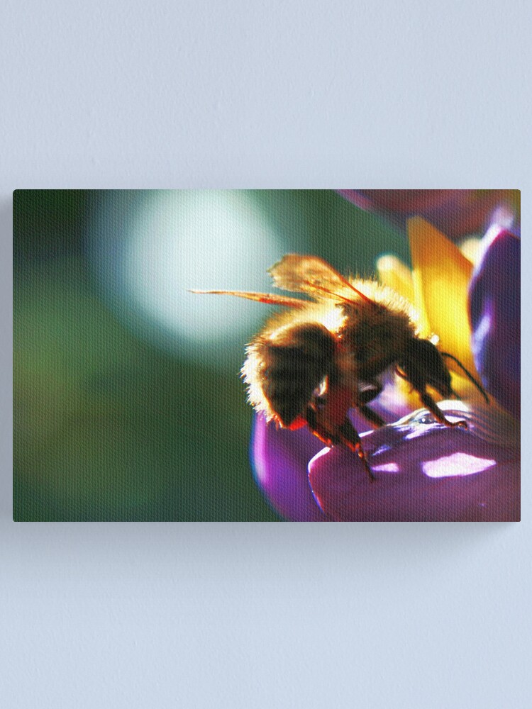 Alternate view of Bumblebee Canvas Print
