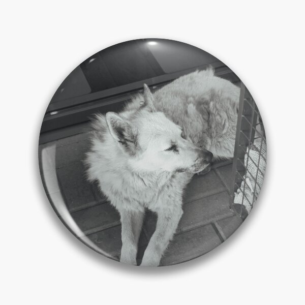 Item preview, Monochrome street dog resting on pavement designed and sold by di9strict.