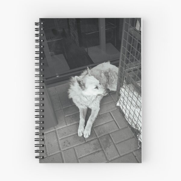 Item preview, Monochrome street dog resting on pavement designed and sold by di9strict.