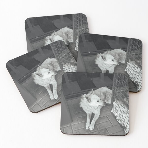 Item preview, Monochrome street dog resting on pavement designed and sold by di9strict.