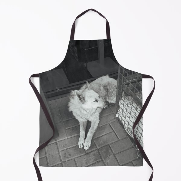 Item preview, Monochrome street dog resting on pavement designed and sold by di9strict.
