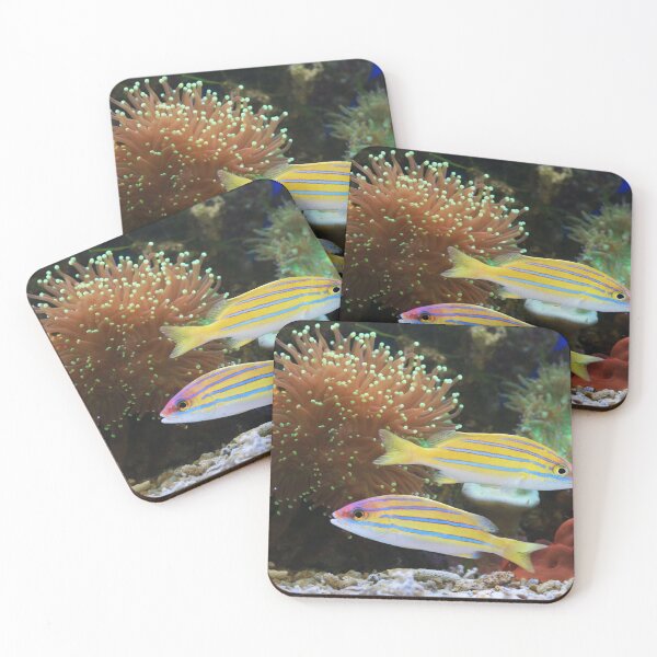 Item preview, Colorful Tropical Fish – Vibrant Coral Reef Underwater Ocean Life designed and sold by StyleForge Apparel.