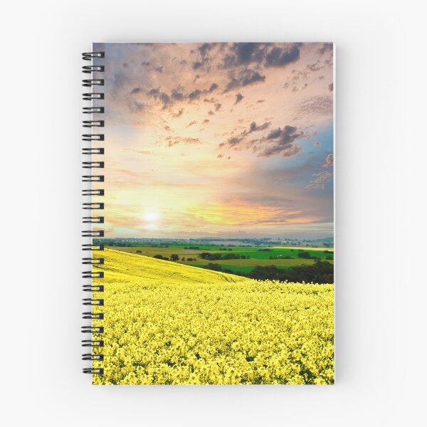 Item preview, Tarcowie Canola designed and sold by Likoca Photography.