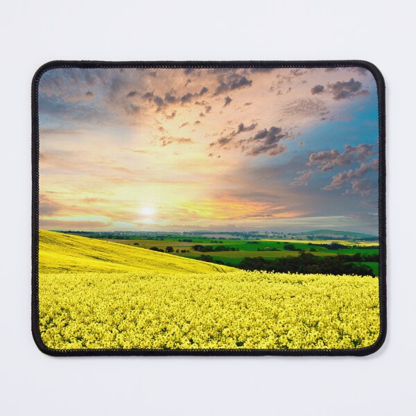 Item preview, Tarcowie Canola designed and sold by Likoca Photography.