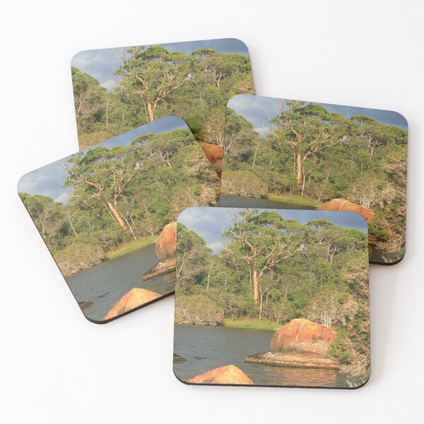 Item preview, Sun out at The Cove designed and sold by Paula Bone.